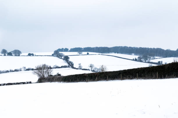 istock The Effect of The Beast From The East Winter Snow Storm in Drewsteignton 932211708