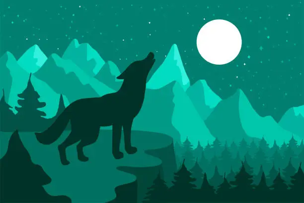 Vector illustration of Wolf in the night coniferous forest