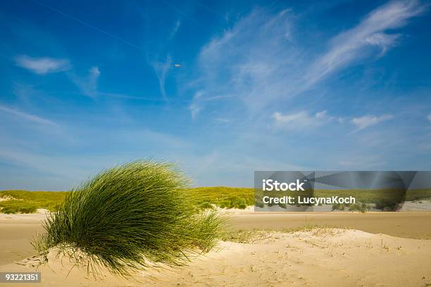 Duenengras Stockfoto und mehr Bilder von Blau - Blau, Deutsche Nordseeregion, Deutschland