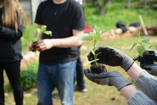 istock Farming planting urban farm team work 932216796