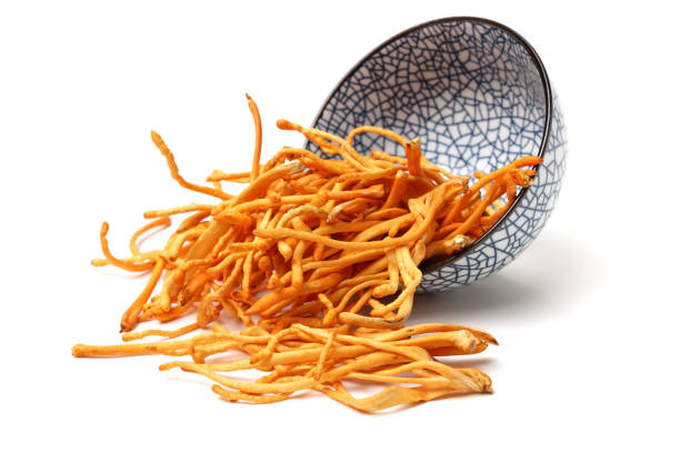 istock Cordyceps mushroom mushroom on white background 932231304