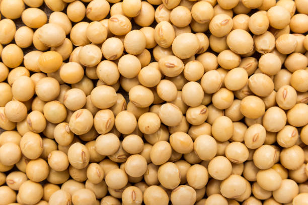 istock Full Frame Shot Of Soybeans 932235260