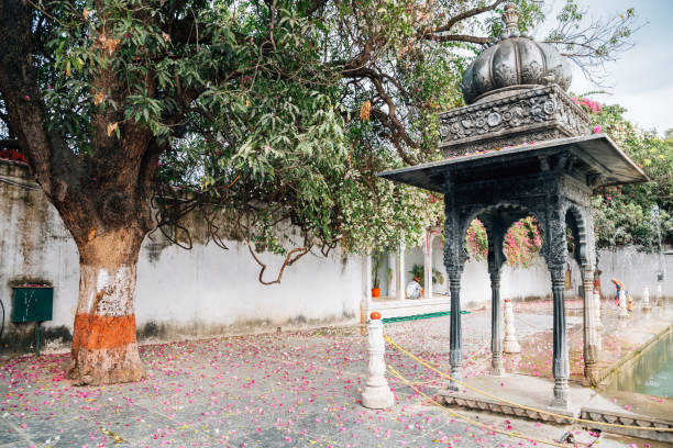 istock Fallen petals and big tree at Saheliyon Ki Bari (Garden of the Maidens) in Udaipur, India 932235974