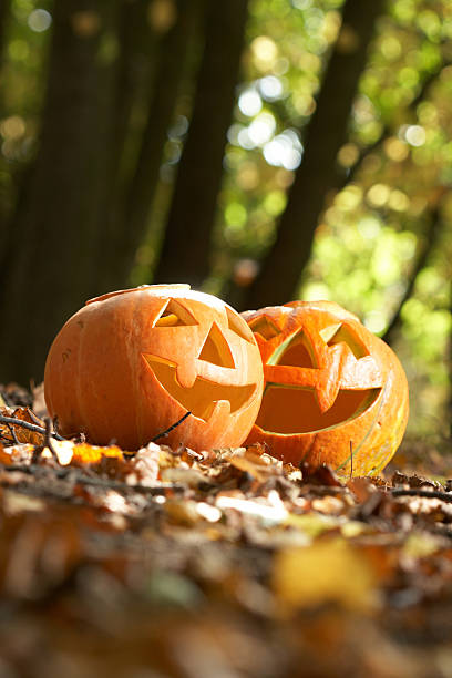 istock Creepy carved pumpkin with a smile, in park 93223786