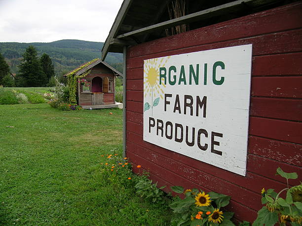 istock Organic Farm Produce 93224036