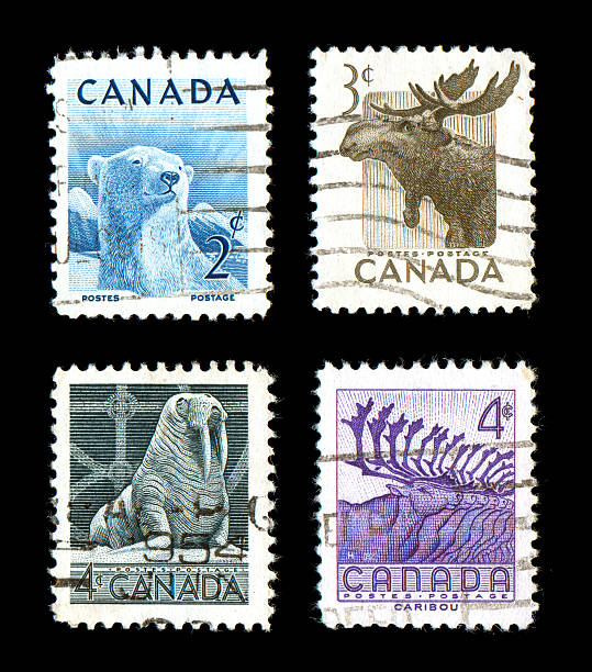 istock World Wildlife Stamps 93224462