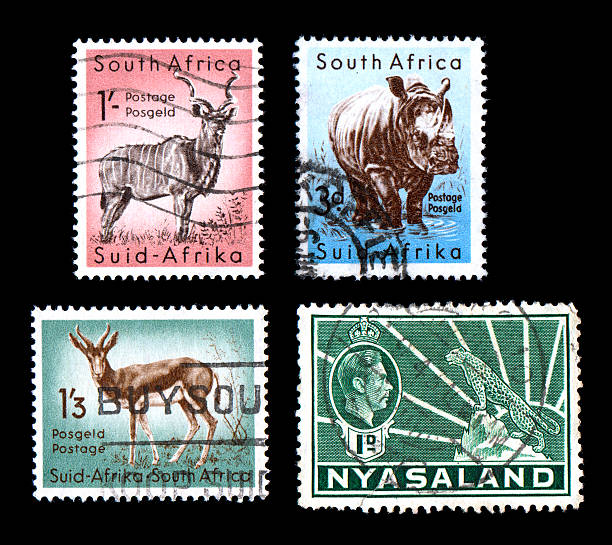 istock World Wildlife Stamps 93224513