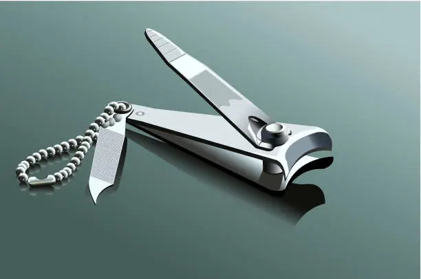 Vector illustration of Nail clipper