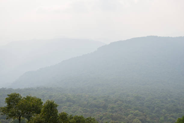 istock Mountains under mist in the morning. 932252762