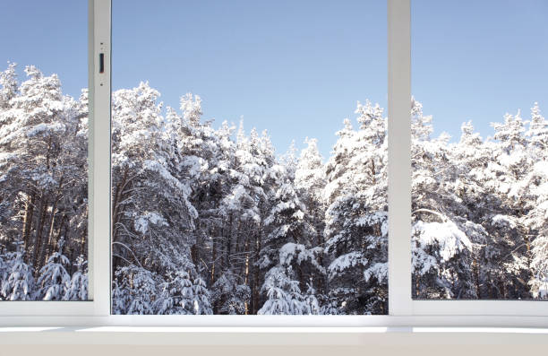 istock Winter forest from the window. The views from the apartment 932271462