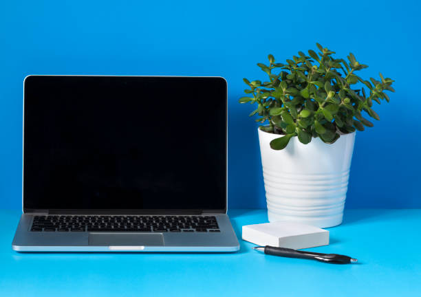 istock Laptop, flower in the pot, pen and papers on blue background. 932272276