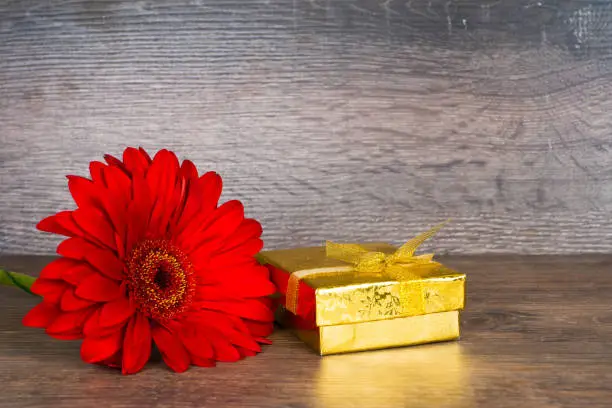 red gerbera flower with gift box on wooden table