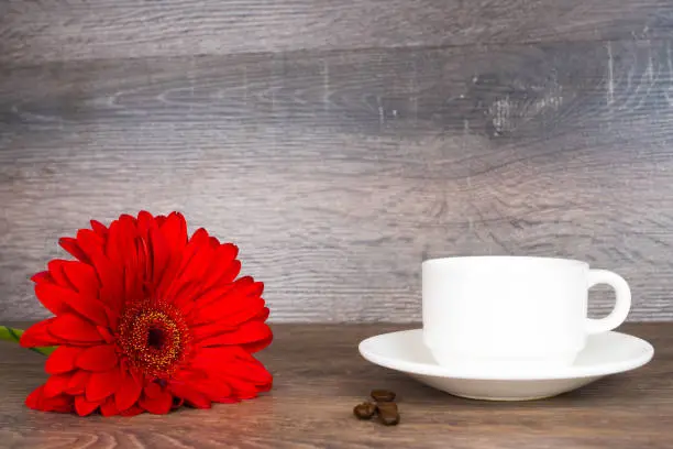 red gerbera flower with coffee cup on wooden table