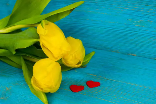 yellow tulips with two red hearts on turquoise wooden table