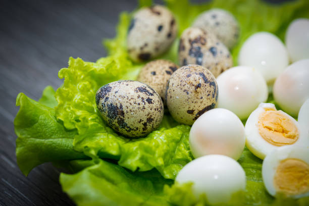 blätter von einem grünen salat mit wachteleiern in eine skolrupa und ohne, durch, auf einem dunklen holztisch. - wachtelei stock-fotos und bilder