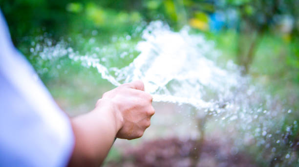 istock Hand spray flowing watering tree in garden 932283564