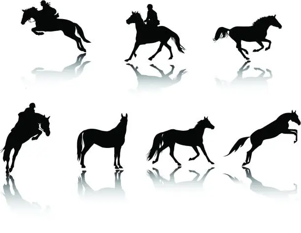 Vector illustration of horses silhouettes