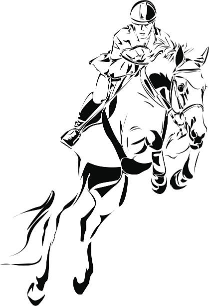 skoki przez przeszkody - trakehner horse stock illustrations