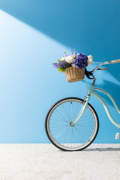 bicycle with flowers in basket standing on carpet in front of blue wall bicycle with flowers in basket standing on carpet in front of blue wall bicycle basket stock pictures, royalty-free photos & images