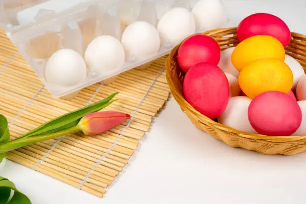 easter background, white and colored eggs in basket with red tulip over bamboo mat