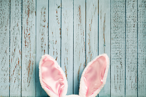Funny Easter rabbit ears on old blue wood - Cute Background