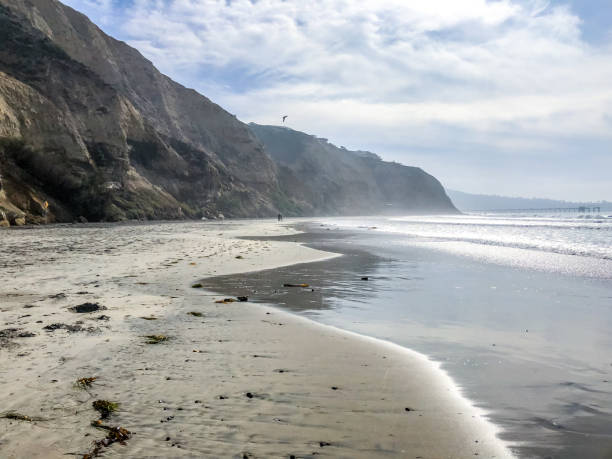 istock Foggy La Jolla Beach, California, USA 932297070