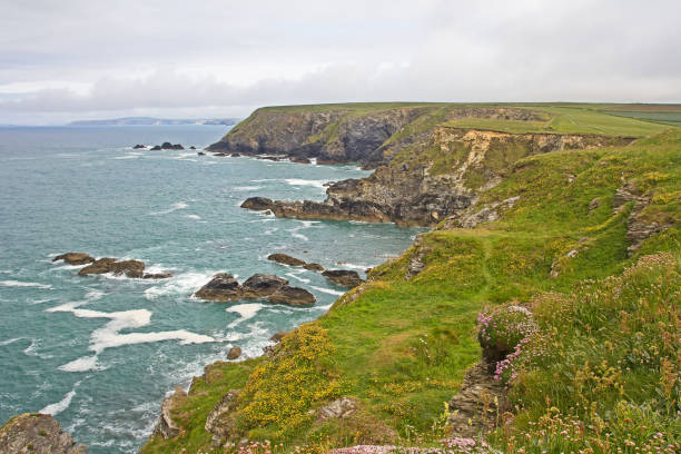 istock Landscaoe of Cornish coast 932297794