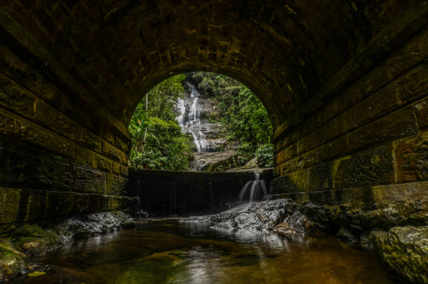 Waterfall in Tijuca National Park.