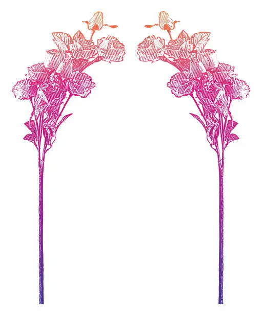 Vector illustration of Engraving of a Rose Floral frame with copy space