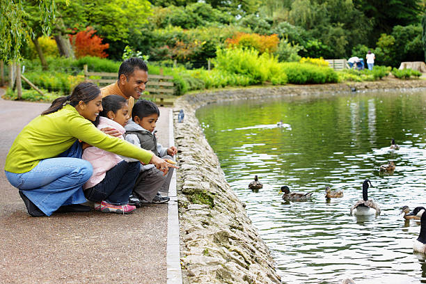 istock Indian Family outdoors feeding ducks on a park lake 93230209