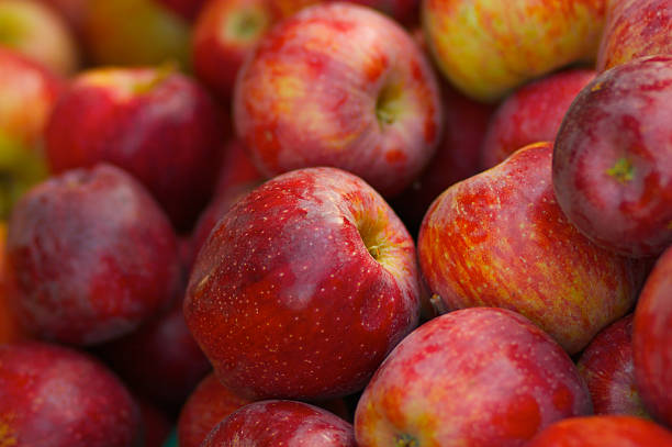 pilha de vermelho de maçãs braeburn - maçã braeburn imagens e fotografias de stock