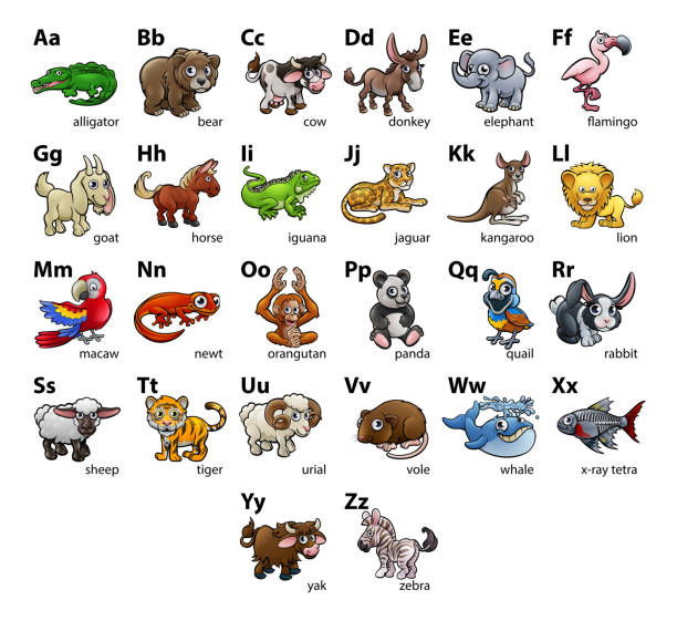 Cartoon Animal Alphabet Chart Set Stock Illustration - Download Image Now -  Alphabet, Animal, Animal Themes - iStock
