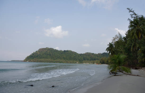 istock Coconut palms on the paradise coconut island 932307352