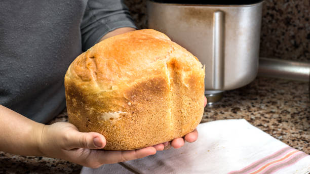istock Homemade bread in hands,  baked in a bread maker 932307684