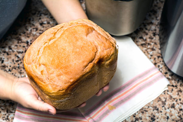 istock Homemade bread in hands,  baked in a bread maker 932309870