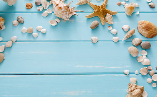 istock Seashells on blue wood, sea vacation background 932311584