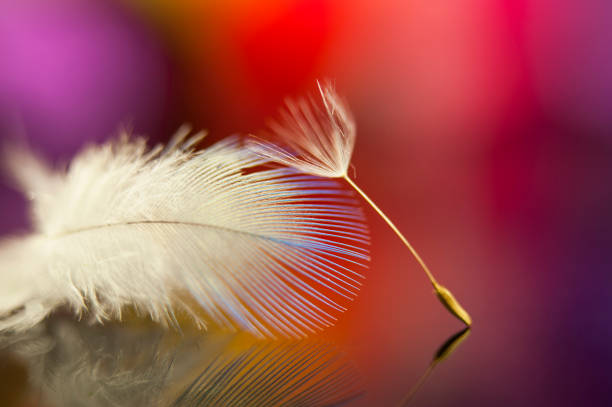 istock We All Need Someone to Love 932315508