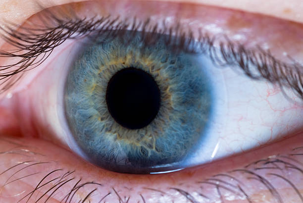 istock Eye and contact lens 93231570