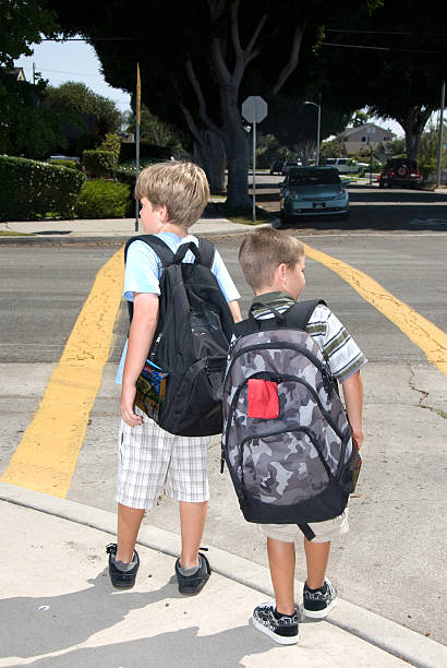 Crosswalk safety Two brothers watch for traffic at a crosswalk to ensure their safety two heads are better than one stock pictures, royalty-free photos & images