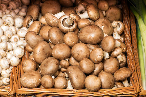 istock brown champignon mushrooms food background. 932330658