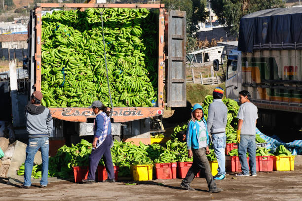 Equador, étnico do mercado na vila Saquisili - foto de acervo