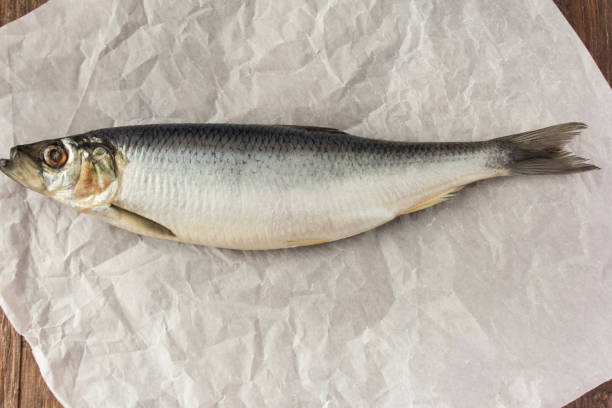 istock tasty salted herring on parchment paper 932335326