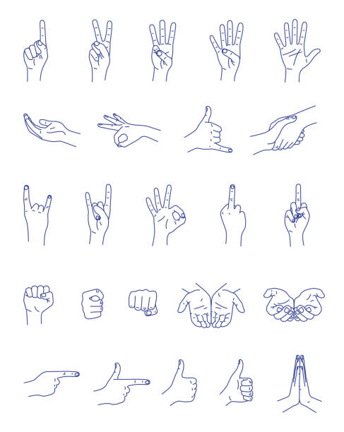 ilustraciones, imágenes clip art, dibujos animados e iconos de stock de gestos con las manos contorno de conjunto de vectores - pulgar hacia arriba ilustraciones