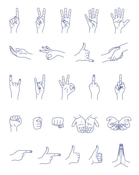 Vector illustration of Hand gestures contour vector set