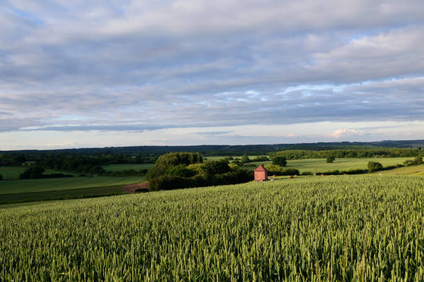 istock English Countryside in late Spring. 932350302