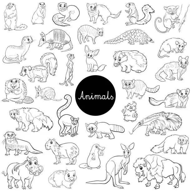 Vector illustration of wild mammals animal characters set color book