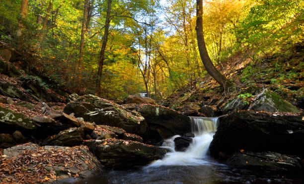 istock Autumn in Ricketts Glen State Park 932357030