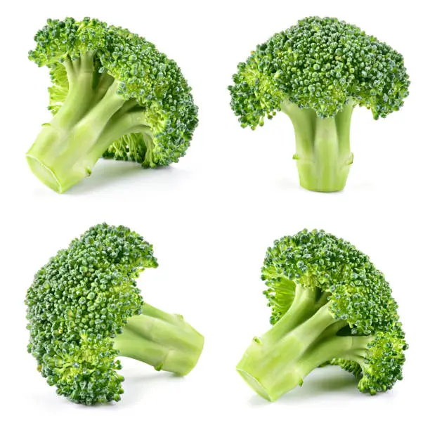 Broccoli. Broccoli isolated on white. Collection. Full depth of field.