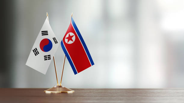 paire de drapeau de corée du sud et la corée du nord sur un bureau sur fond défocalisé - south korea south korean flag korea flag photos et images de collection