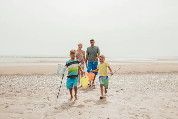 istock Little Boys Excited to Look for Shells 932363718